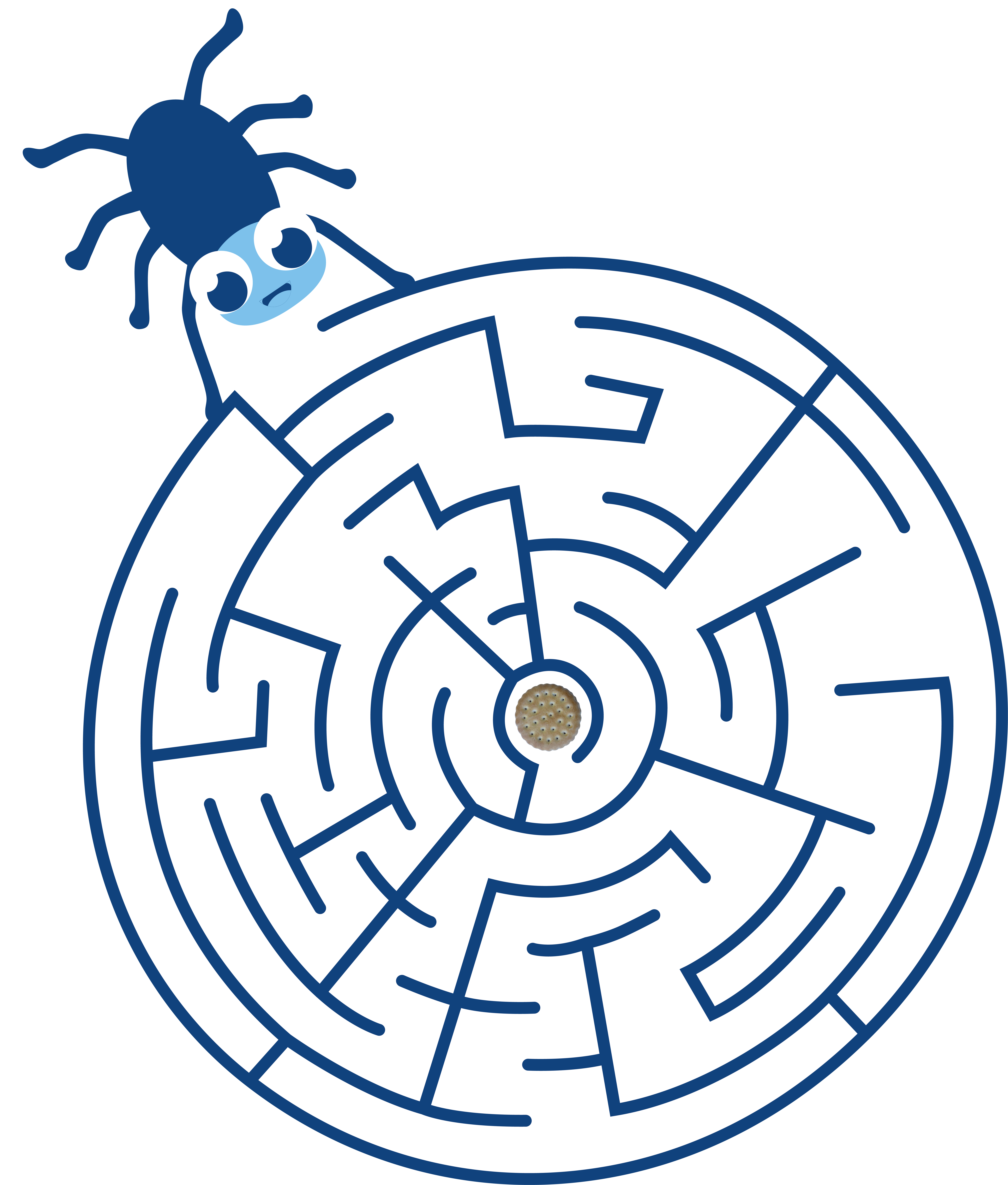 een spin met een doolhof